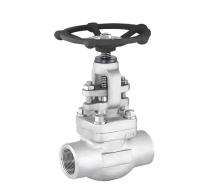 Anura DN 50 mm Manual Forged Steel Globe Valves Threaded_0
