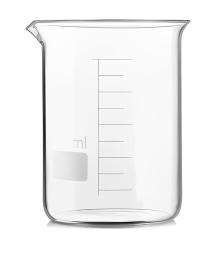 Gupta Glass Low Form Beaker 250 mL_0