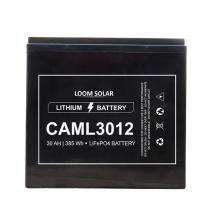 LOOM SOLAR CAML3012 30 Ah 12 V Lithium Ion Batteries_0