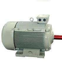 OSWAL Three Phase 40 hp Four Pole Foot Mounted AC Motors_0