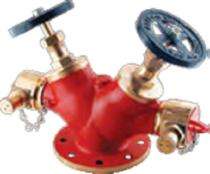 AAAG Gun Metal Double Headed Hydrant Valves_0