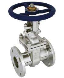 25 mm Manual SS Gate Valves Flanged PN 10_0