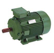 Hindustan Three Phase 0.25 hp Double Pole Foot Mounted AC Motors_0