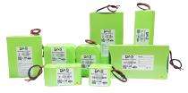DASPO412848 48 Ah 12.8 V Lithium Ion Batteries_0