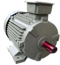 Three Phase 2 hp Double Pole Foot Mounted AC Motors_0