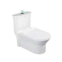 Simpolo EWC with Seat Cover and Flush SWIM Floor Mounted_0