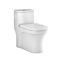Simpolo EWC with Seat Cover and Flush CATINO Floor Mounted_0