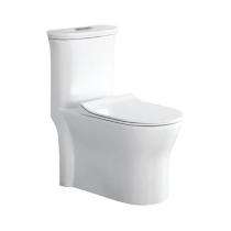 Parryware EWC with Seat Cover and Flush Canvas Floor_0
