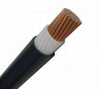 Rallison Copper XLPE Unarmoured PVC LT Power Cables 1 Core 10 sqmm 1100 V_0