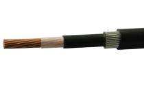 Rallison Copper XLPE Round Wire Armoured PVC LT Power Cables 1 Core 10 sqmm 1100 V_0