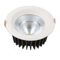 Applelite Kl-SCS-15R-xx 10 W LED COB Light 120 Lumen White_0