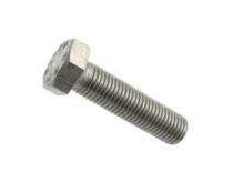 CHAMUNDA M16 Galvanized Iron Hexagon Head Bolts 8.8 100 mm ISO 9001 2008_0