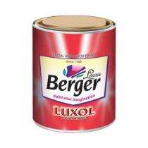 Berger Interior Oil Based Snow White Enamel Paints_0