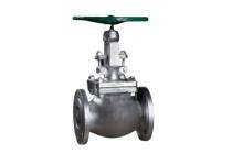HYDINT CS Globe Valves 50 mm_0