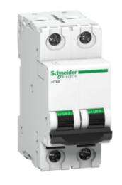 Schneider Electric Double Pole 10 A B MCB_0
