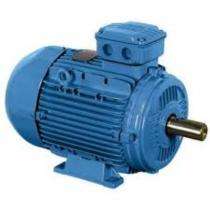 Single Phase 3 hp Double Pole Foot Mounted AC Motors_0