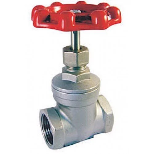 25 mm Manual SS Gate Valves Flanged PN 10_0