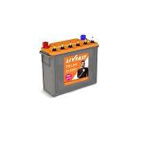 LIVFAST LFS 5180HP Tubular 12 V 180 Ah Lead Acid Batteries_0