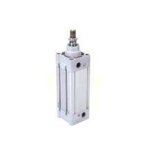 Platinum 20 mm Compact Pneumatic Cylinder IPC27 0.4 -12 bar_0