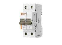 Orient 101DPB0060 Double Pole 6 A B MCB_0