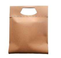 Paper Packaging Bag_0