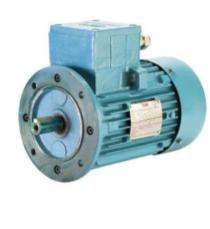HAVELLS 0.093 - 315 kW Worm Gear Motor Upto 16500 Nm_0
