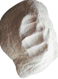 Jyoti Garg Industrial Grade Powder Dolomite 0.99_0