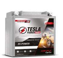 TESLA TPUTZ4 VRLA 12 V 4 Ah Lead Acid Batteries_0