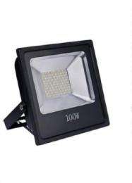 Ray Infratech 100 W White IP66 10 kV 900 Lumen FL100W LED Flood Lights_0