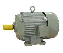 OSWAL Single Phase 3 hp Double Pole Foot Mounted AC Motors_0