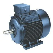 Single Phase 4 hp Double Pole Foot Mounted AC Motors_0