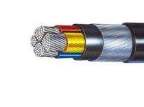 Polycab Aluminium XLPE Armoured PVC LT Power Cables 3.5 Core 10 sqmm 1.1 kV_0