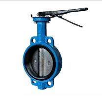 RSEMC 50 mm Manual CI Butterfly Valves Flanged PN 16_0