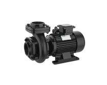 Silver SDM-25 0.15 hp 2800 rpm Monoblock Pumps_0