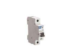 L&T BA10060B Single Pole 6 A B MCB_0