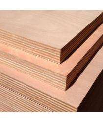 Rukmoni 16 mm Marine Grade Plywood 2440 x 1200 mm IS 710_0