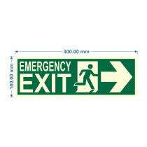 Being Safe Direction Signages 100 x 300 mm Adhesive and Wall Mount Photoluminescent & Sunboard 3m_0