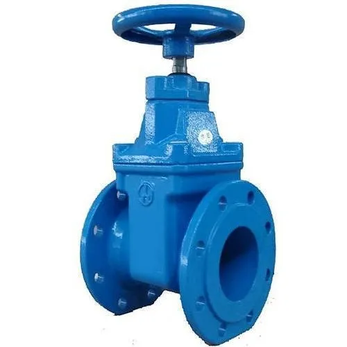 IEVAPF Manual CI Sluice Valves 300 mm_0