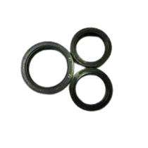 Hallite 19 mm Rubber Oil Seals OS4 6 mm_0