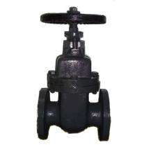 IEVPF DI Sluice Valves DN 80 mm_0