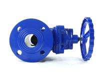 IEVPF Manual DI Gate Valves DN 100 mm_0