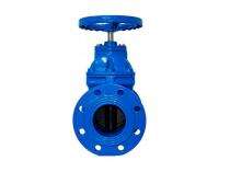 IEVPF Manual DI Gate Valves DN 125 mm_0