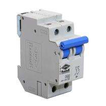 HPL Double Pole 50 A B MCB_0