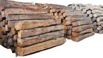 Shankar Central Province Teak Timber 200 mm_0