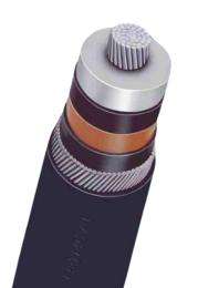 GEMSCAB A2XFaY 1 Core 1000 sqmm 11 kV (E) HT XLPE Cable_0