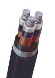 GEMSCAB A2XFY 3 Core 120 sqmm 11 kV (E) HT XLPE Cable_0
