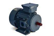 Royal Square Cage 1440 rpm Three Phase 1 hp Four Pole Foot Mounted AC Motors_0