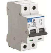 L&T Double Pole 20 A C MCB_0