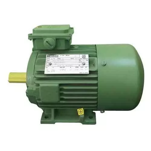 HINDUSTAN ELECTRIC MOTOR Safe Area 3000 rpm Three Phase 0.16 hp Double Pole Foot Mounted AC Motors_0