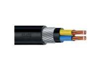 Polycab 2 Core 10 sqmm Industrial Flexible Cables 1000 m Copper 1100 V_0